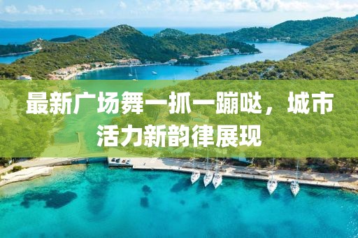 最新廣場舞一抓一蹦噠，城市活力新韻律展現(xiàn)