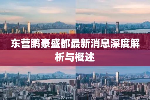 東營(yíng)鵬豪盛都最新消息深度解析與概述