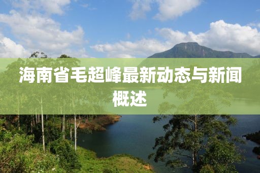 海南省毛超峰最新動(dòng)態(tài)與新聞概述