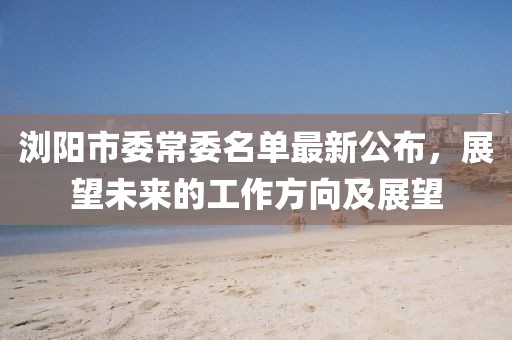 瀏陽(yáng)市委常委名單最新公布，展望未來(lái)的工作方向及展望