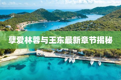 孽愛林蓉與王東最新章節(jié)揭秘