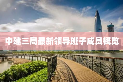 中建三局最新領(lǐng)導(dǎo)班子成員概覽