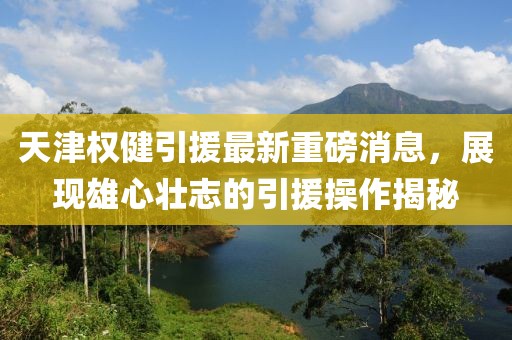 天津權(quán)健引援最新重磅消息，展現(xiàn)雄心壯志的引援操作揭秘