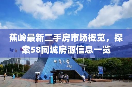 蕉嶺最新二手房市場概覽，探索58同城房源信息一覽