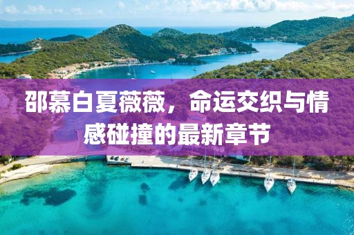 邵慕白夏薇薇，命運(yùn)交織與情感碰撞的最新章節(jié)