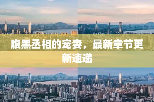 腹黑丞相的寵妻，最新章節(jié)更新速遞