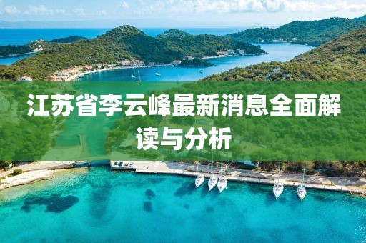 江蘇省李云峰最新消息全面解讀與分析