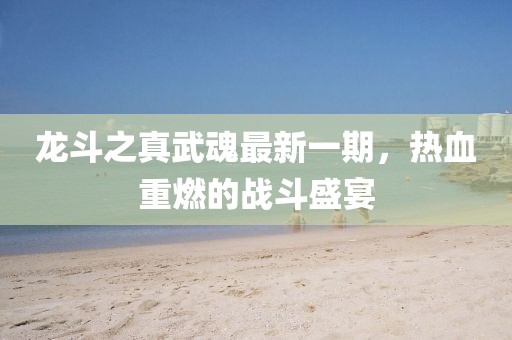 龍斗之真武魂最新一期，熱血重燃的戰(zhàn)斗盛宴