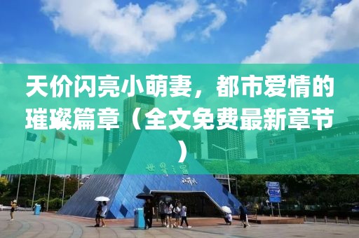 天價閃亮小萌妻，都市愛情的璀璨篇章（全文免費最新章節(jié)）