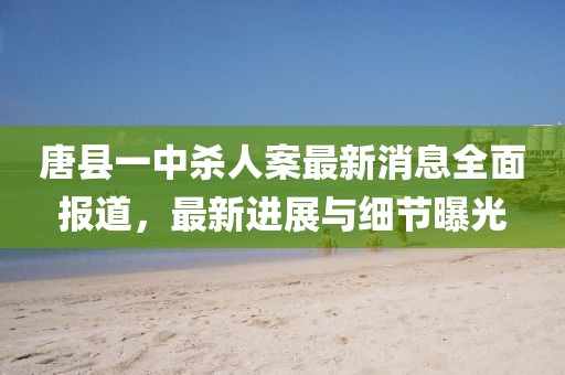 唐縣一中殺人案最新消息全面報道，最新進展與細節(jié)曝光