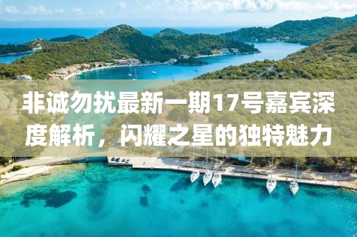 非誠勿擾最新一期17號嘉賓深度解析，閃耀之星的獨(dú)特魅力