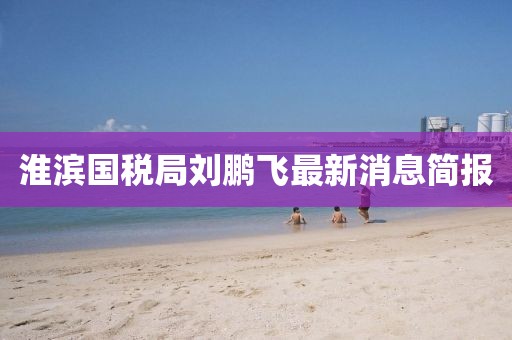 淮濱國稅局劉鵬飛最新消息簡報(bào)