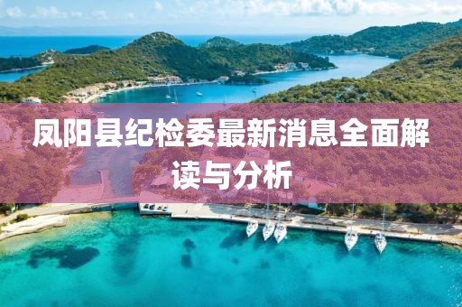 鳳陽縣紀檢委最新消息全面解讀與分析