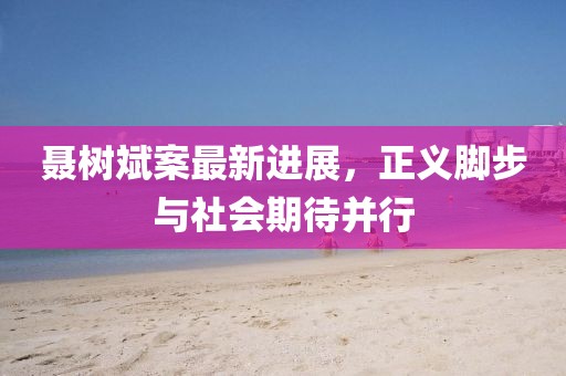 聶樹(shù)斌案最新進(jìn)展，正義腳步與社會(huì)期待并行