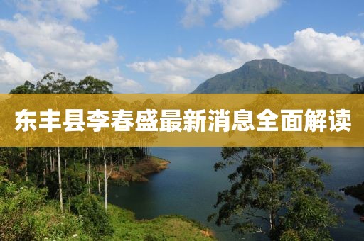 東豐縣李春盛最新消息全面解讀