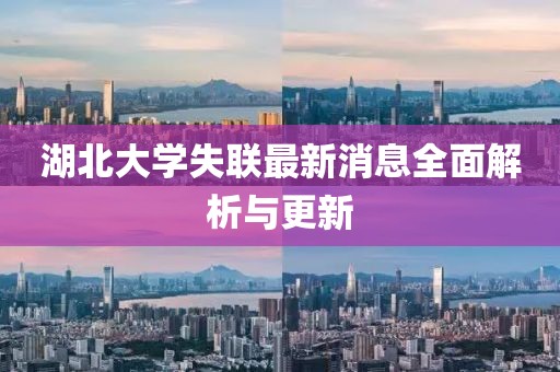 湖北大學失聯(lián)最新消息全面解析與更新