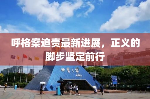 呼格案追責最新進展，正義的腳步堅定前行