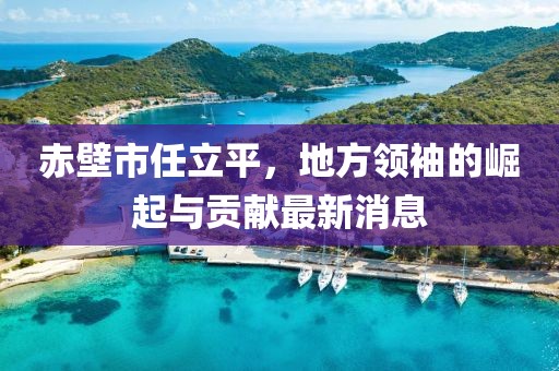 赤壁市任立平，地方領(lǐng)袖的崛起與貢獻最新消息