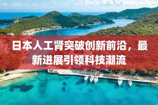 日本人工腎突破創(chuàng)新前沿，最新進展引領科技潮流