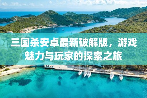 三國殺安卓最新破解版，游戲魅力與玩家的探索之旅