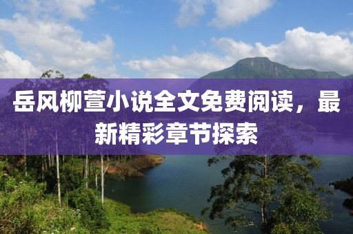 岳風(fēng)柳萱小說全文免費(fèi)閱讀，最新精彩章節(jié)探索