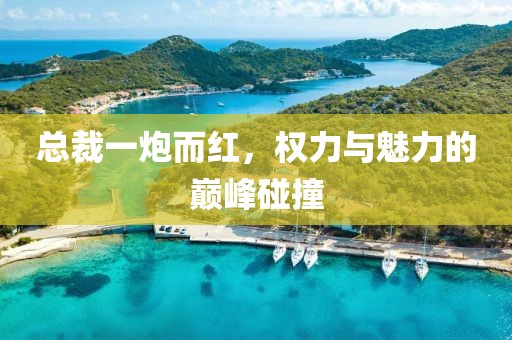 總裁一炮而紅，權(quán)力與魅力的巔峰碰撞
