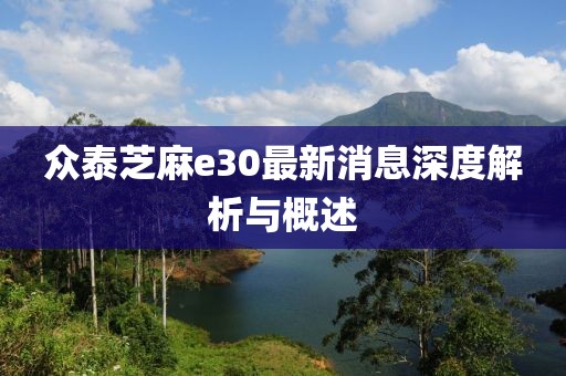 眾泰芝麻e30最新消息深度解析與概述