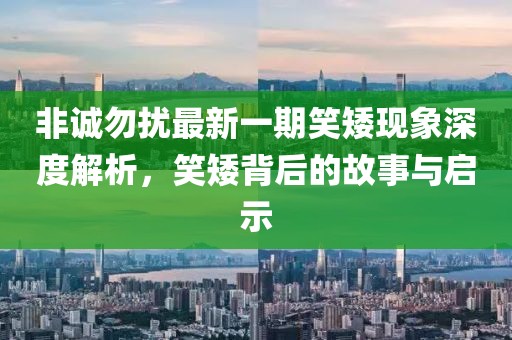 非誠勿擾最新一期笑矮現(xiàn)象深度解析，笑矮背后的故事與啟示