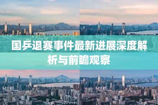 國(guó)乒退賽事件最新進(jìn)展深度解析與前瞻觀察