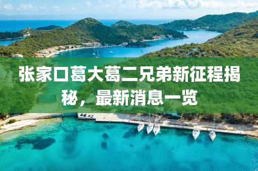 張家口葛大葛二兄弟新征程揭秘，最新消息一覽