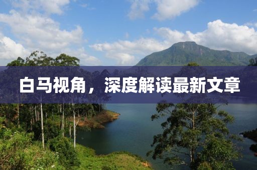 白馬視角，深度解讀最新文章