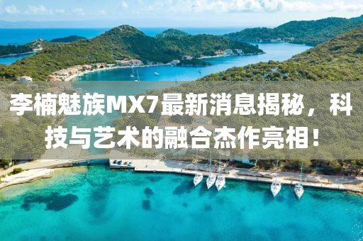 李楠魅族MX7最新消息揭秘，科技與藝術(shù)的融合杰作亮相！
