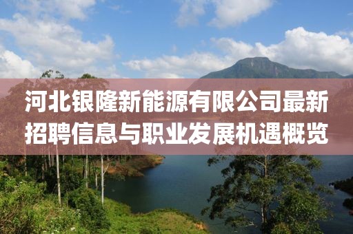 河北銀隆新能源有限公司最新招聘信息與職業(yè)發(fā)展機(jī)遇概覽