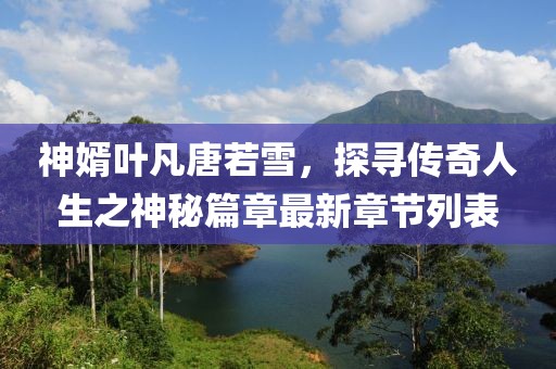 神婿葉凡唐若雪，探尋傳奇人生之神秘篇章最新章節(jié)列表