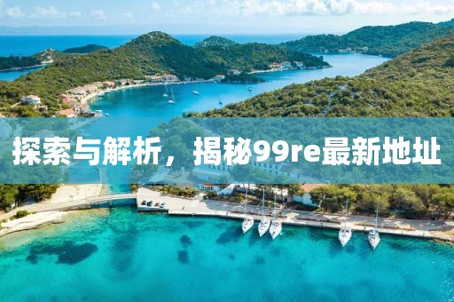 探索與解析，揭秘99re最新地址