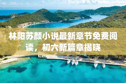 林陽蘇顏小說最新章節(jié)免費(fèi)閱讀，初六新篇章揭曉