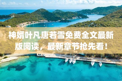 神婿葉凡唐若雪免費(fèi)全文最新版閱讀，最新章節(jié)搶先看！