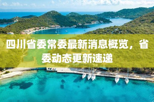 四川省委常委最新消息概覽，省委動(dòng)態(tài)更新速遞