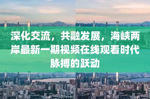 深化交流，共融發(fā)展，海峽兩岸最新一期視頻在線觀看時(shí)代脈搏的躍動(dòng)