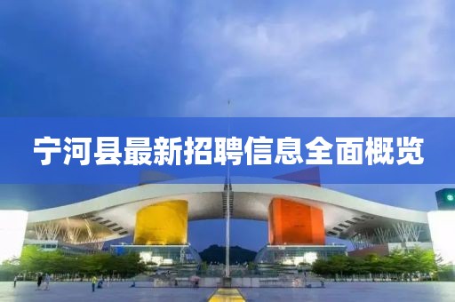 寧河縣最新招聘信息全面概覽