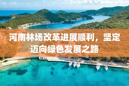 河南林場改革進展順利，堅定邁向綠色發(fā)展之路