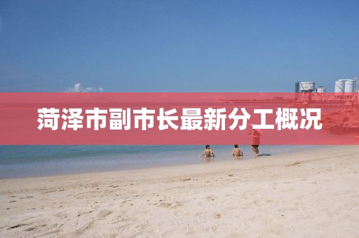 菏澤市副市長(zhǎng)最新分工概況
