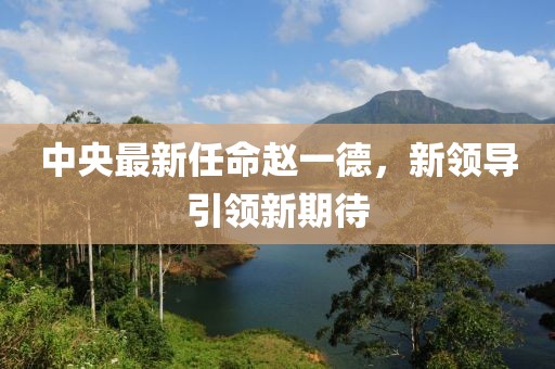 中央最新任命趙一德，新領(lǐng)導(dǎo)引領(lǐng)新期待