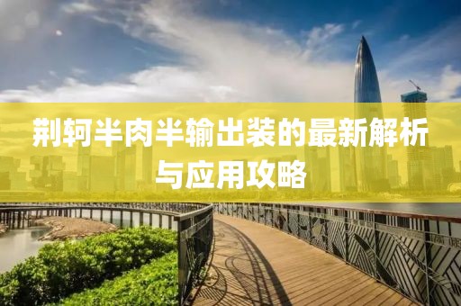 荊軻半肉半輸出裝的最新解析與應(yīng)用攻略