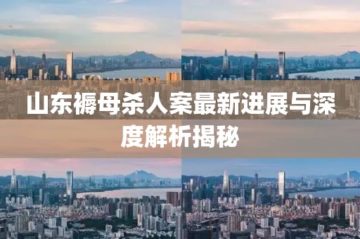 山東褥母殺人案最新進展與深度解析揭秘