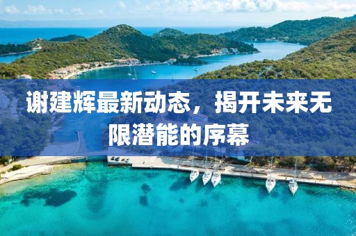 謝建輝最新動(dòng)態(tài)，揭開(kāi)未來(lái)無(wú)限潛能的序幕