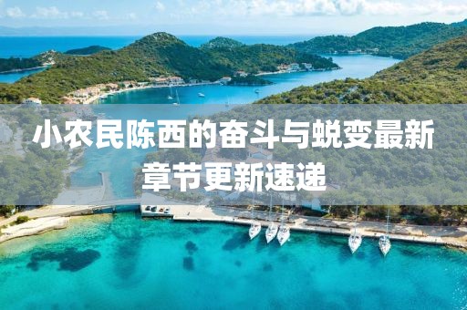 小農(nóng)民陳西的奮斗與蛻變最新章節(jié)更新速遞