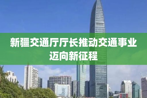新疆交通廳廳長(zhǎng)推動(dòng)交通事業(yè)邁向新征程