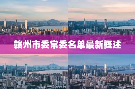 贛州市委常委名單最新概述