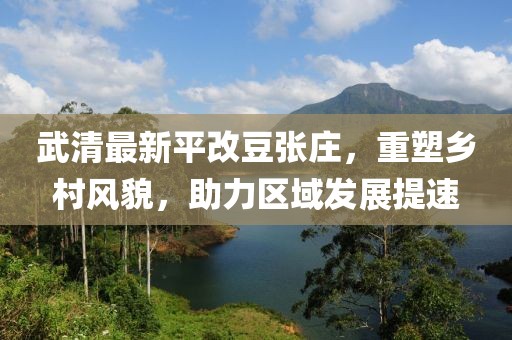 武清最新平改豆張莊，重塑鄉(xiāng)村風貌，助力區(qū)域發(fā)展提速